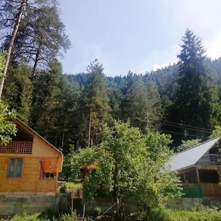 Guest House Ilia Borjomi Exteriör bild