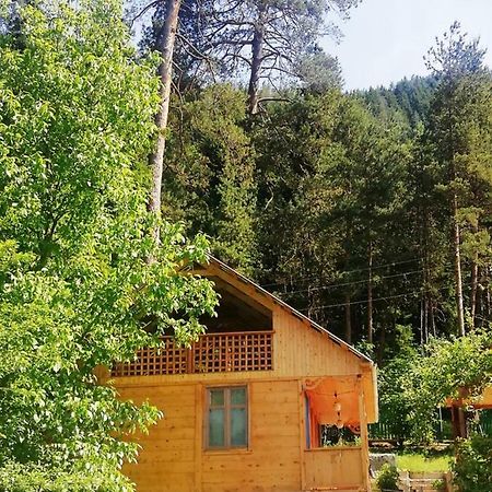 Guest House Ilia Borjomi Exteriör bild