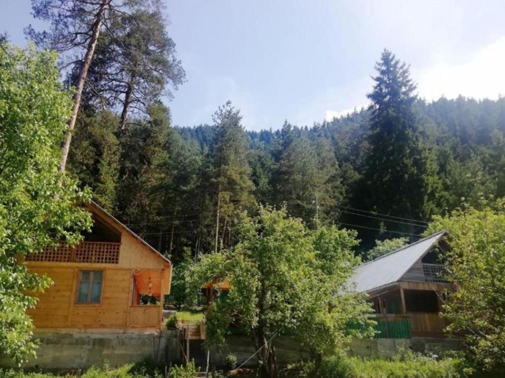 Guest House Ilia Borjomi Exteriör bild