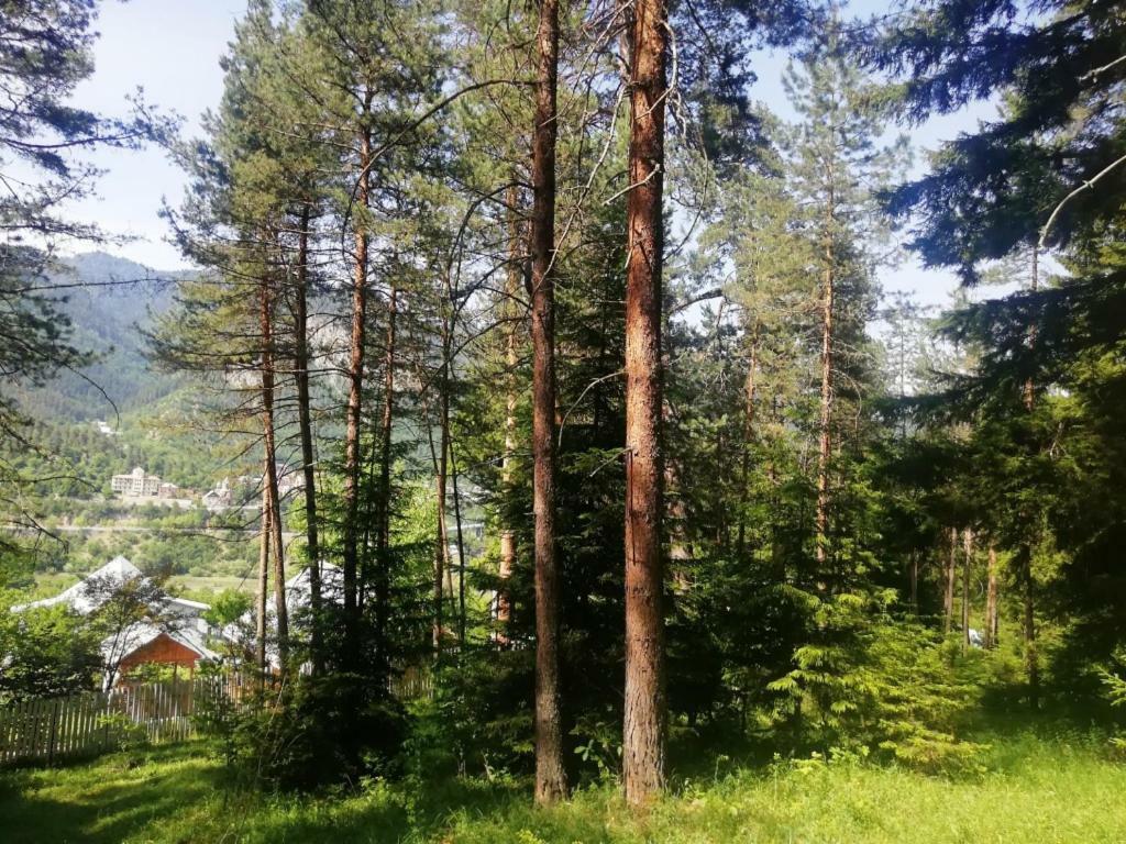 Guest House Ilia Borjomi Exteriör bild