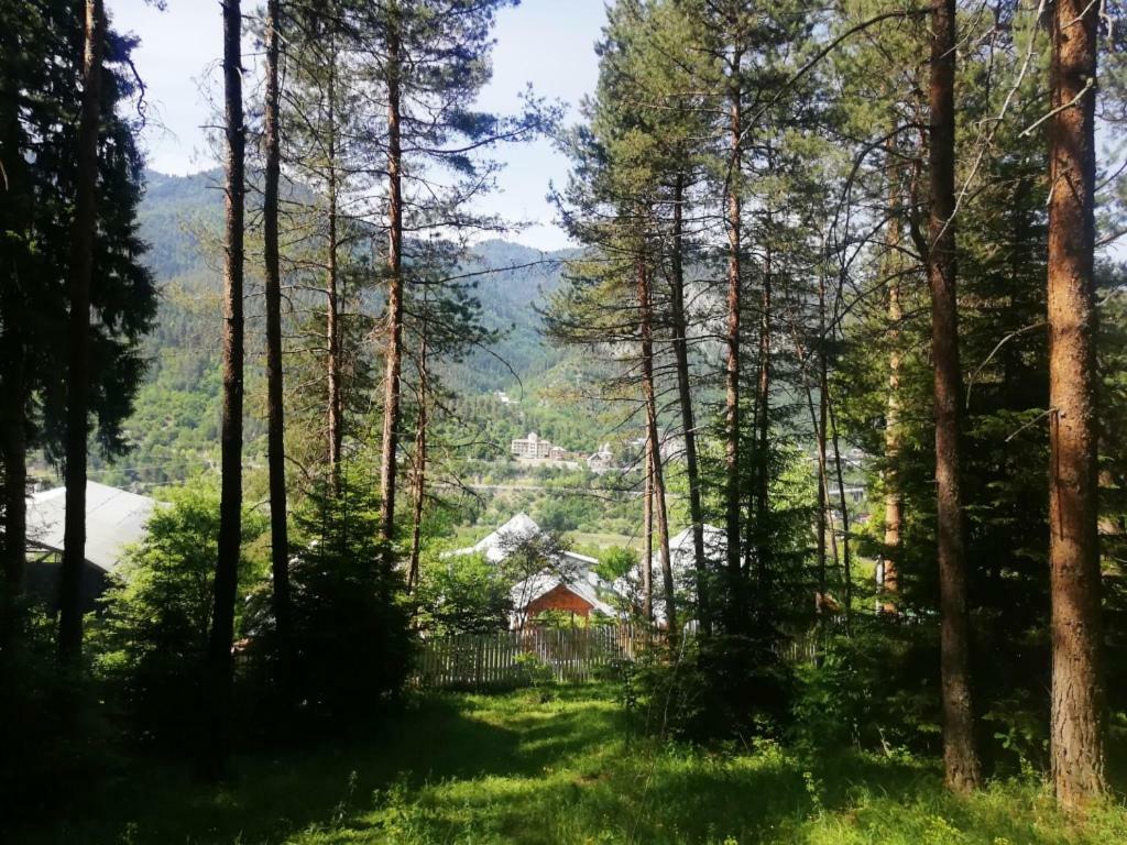 Guest House Ilia Borjomi Exteriör bild
