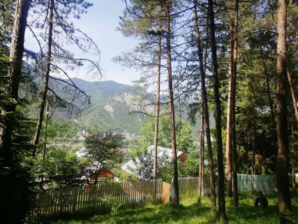 Guest House Ilia Borjomi Exteriör bild