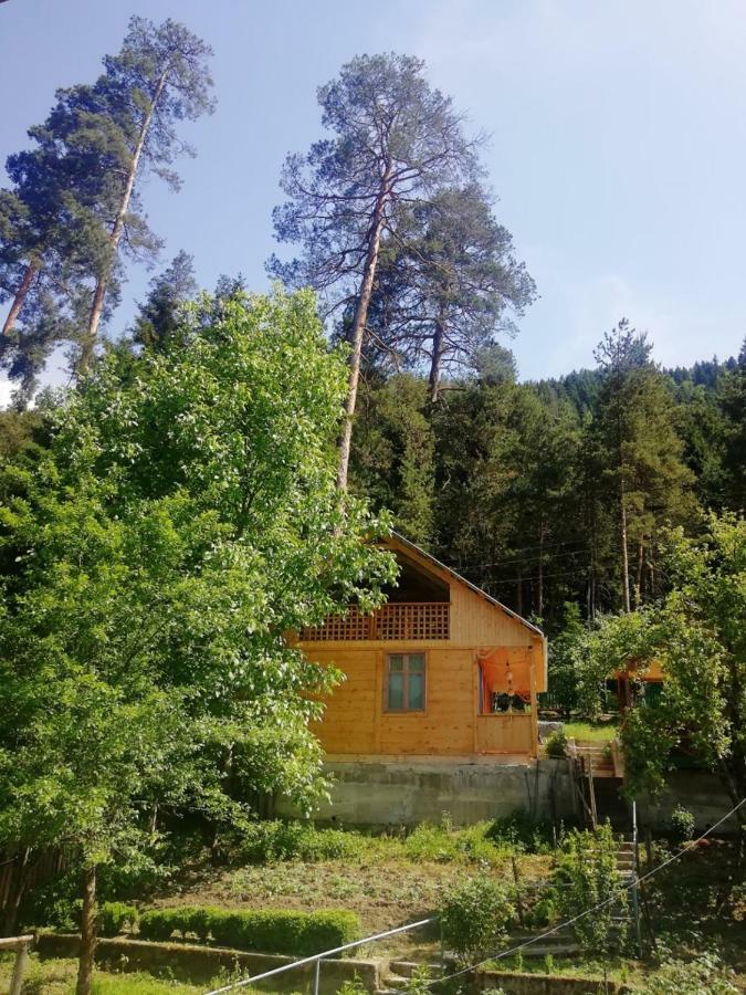 Guest House Ilia Borjomi Exteriör bild