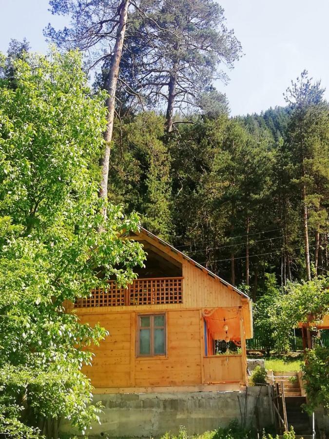 Guest House Ilia Borjomi Exteriör bild